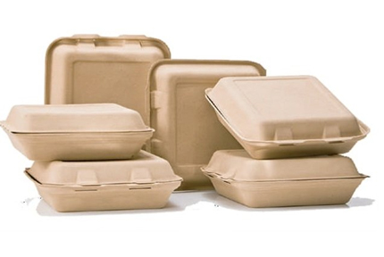 BIODEGRADABLE MEAL BOX