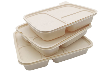 BIODEGRADABLE LUNCH BOXES