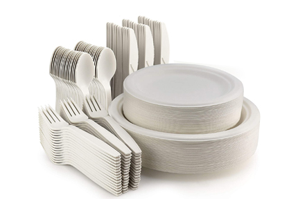 BIODEGRADABLE PLATES & CUTLERIES 